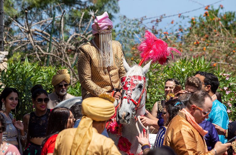 decorated horse baraat