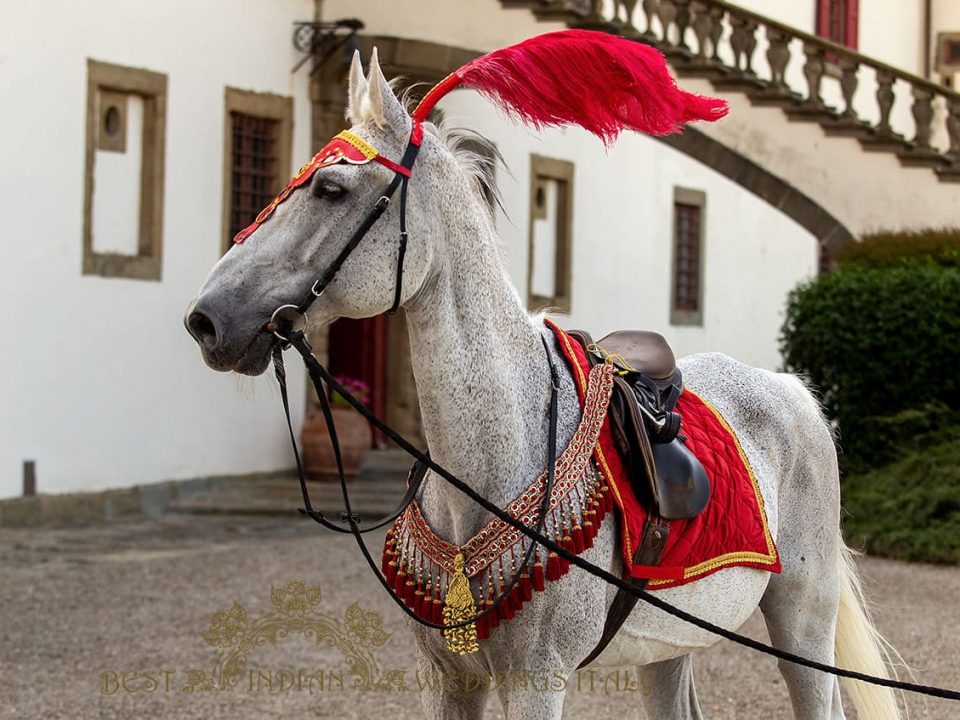 decorated horse for baraat in italy 960x720 - Baraat in Italy