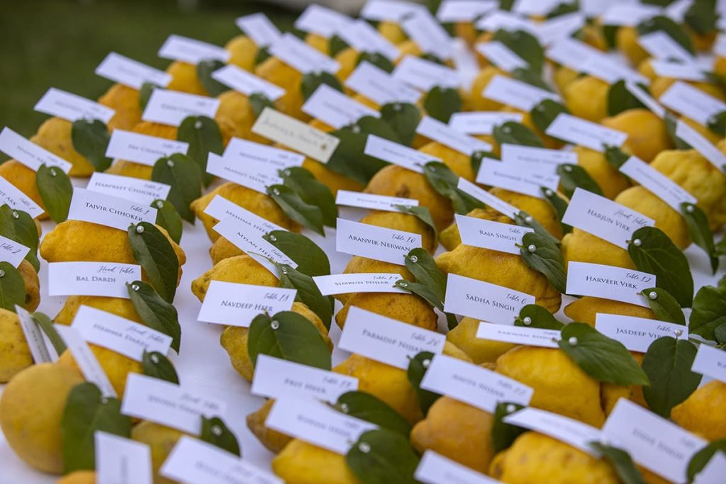 lemon themed seating plan 1024x683 - Blog