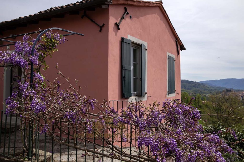 blooming wisteria tuscany 1024x683 - Sikh pre-wedding events in Italy with a wow-factor